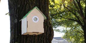 TreeWiFi