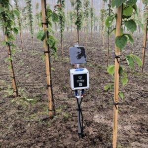 De Root Sense