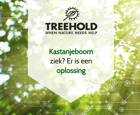 Treehold
