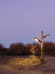 Alto Kastanje Verlichting