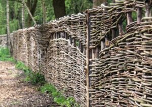 Wilgen tunen en tuinschermen