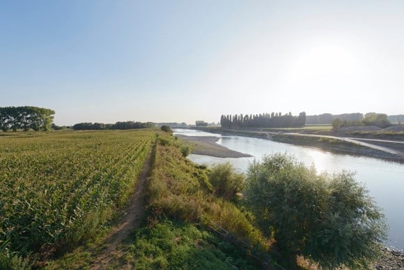 Brainstorm duurzame en natuurvriendelijke oevers