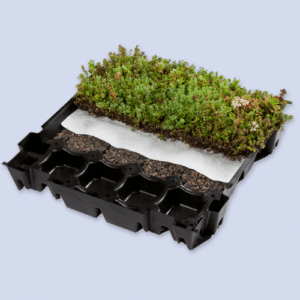 ND Sedumcassettes – Premium