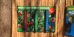 Educatiebord