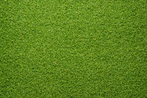 Pitch
