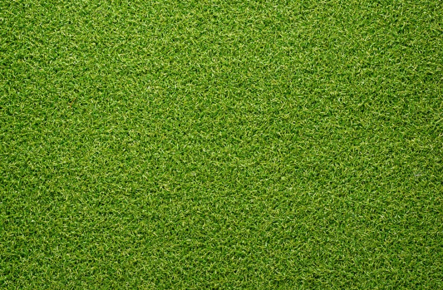 Pitch