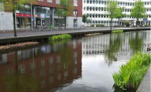 Biobased buizen